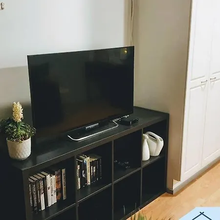 Modern With Sauna And Fast Internet Villa