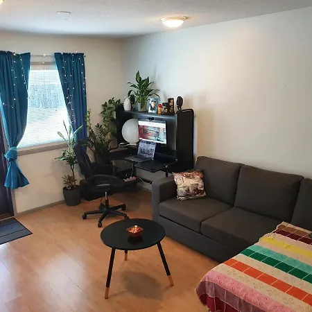 Modern With Sauna And Fast Internet Villa